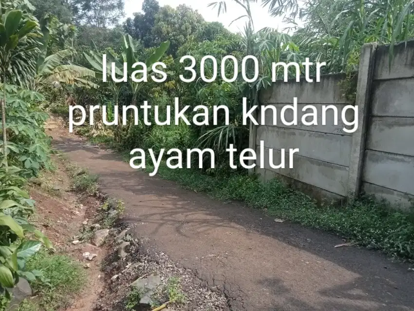 Di jual lhan tanah darat lt 3000 mtr peruntukan peternakan ayam