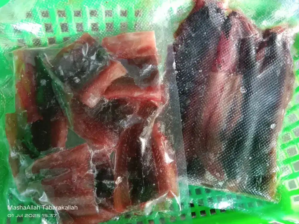 Belut Filet Frozen Siap Masak – Tanpa Tulang & Ekor!  160gr