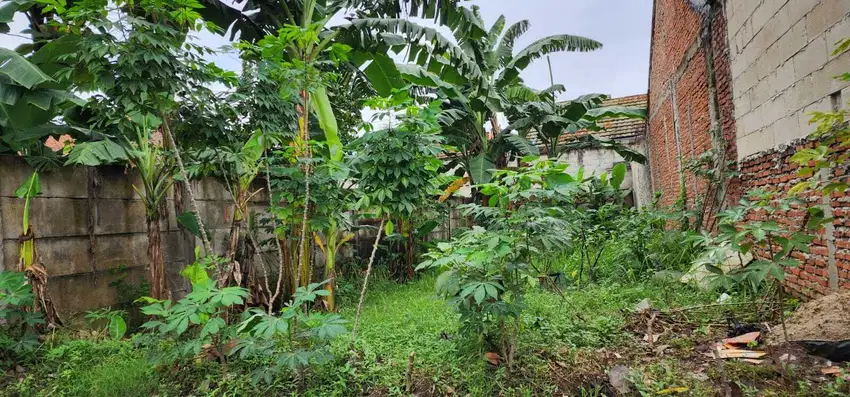 Dijual Kavling murah di Akasia Taman Royal 3 Tangerang