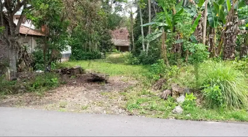 Jual Tanah Lokasi Strategis Di Salaman Magelang