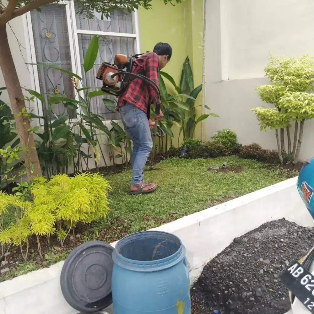 Jasa potong rumput