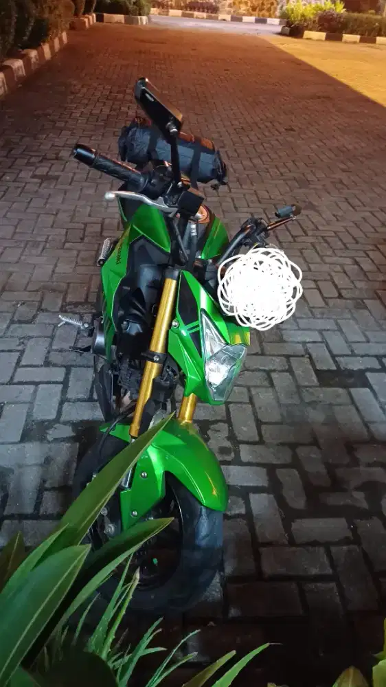 Kawasaki Z125 Pro Tahun 2019 registrasi 2022 (Nego)
