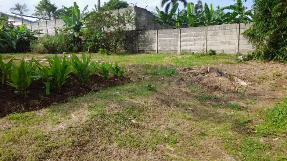 JUAL BUTUH TANAH DI GNSINDUR BOGOR