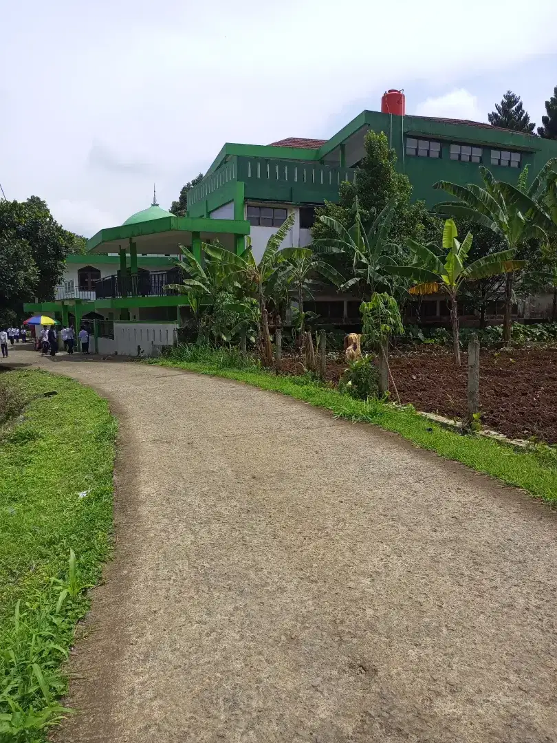 DIJUAL CEPAT TANAH PINGGIR JALAN PAKALADEN CIJERUK BOGOR
