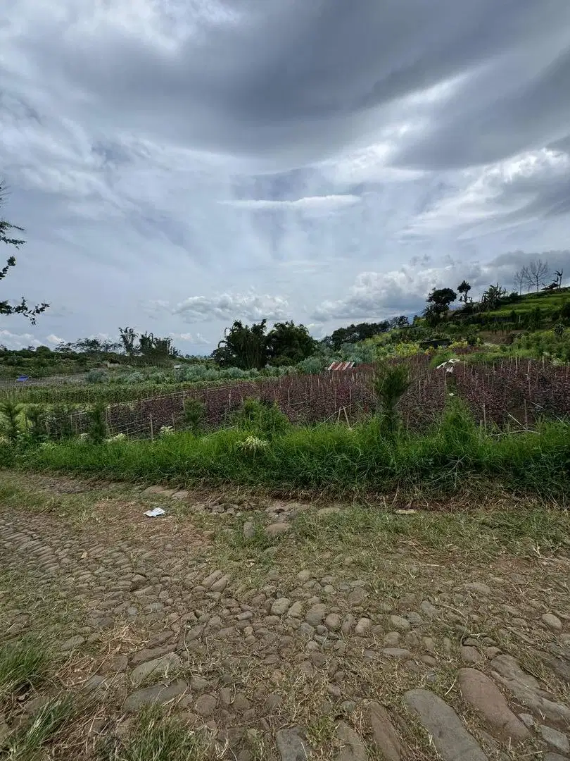 Tanah strategis lokasi Di kawasan Bukit Berbunga kota Batu