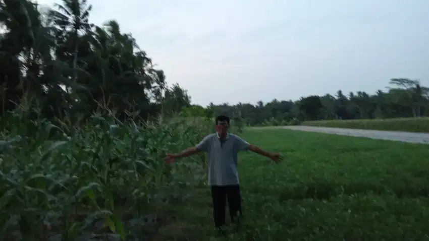Jual tanah di kawasan industri