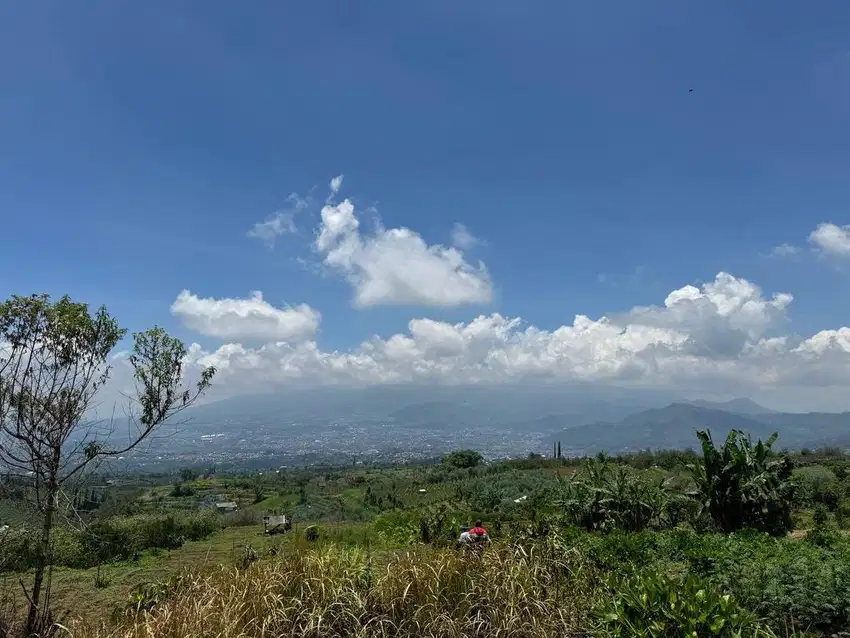 Tanah lokasi atas puncak Bukit