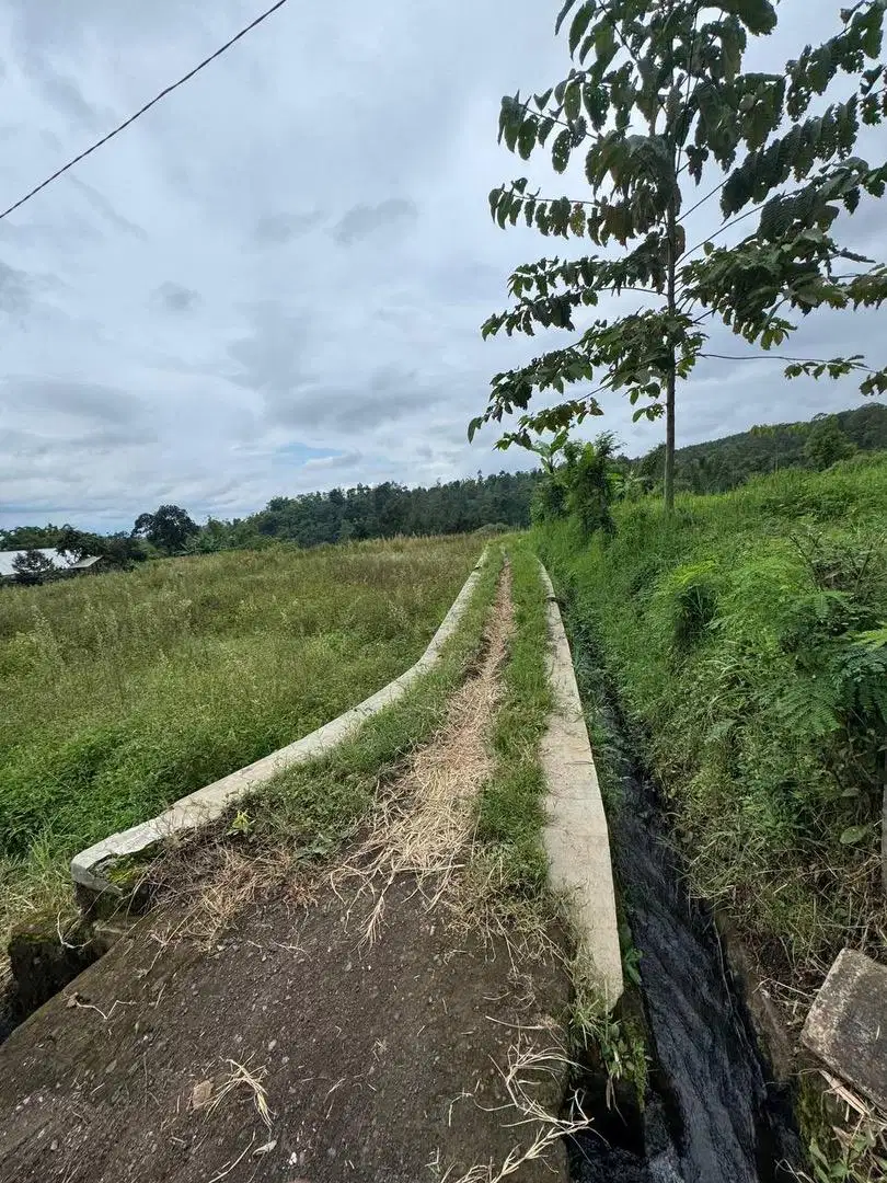 Tanah pekarangan ada sumber airnya
