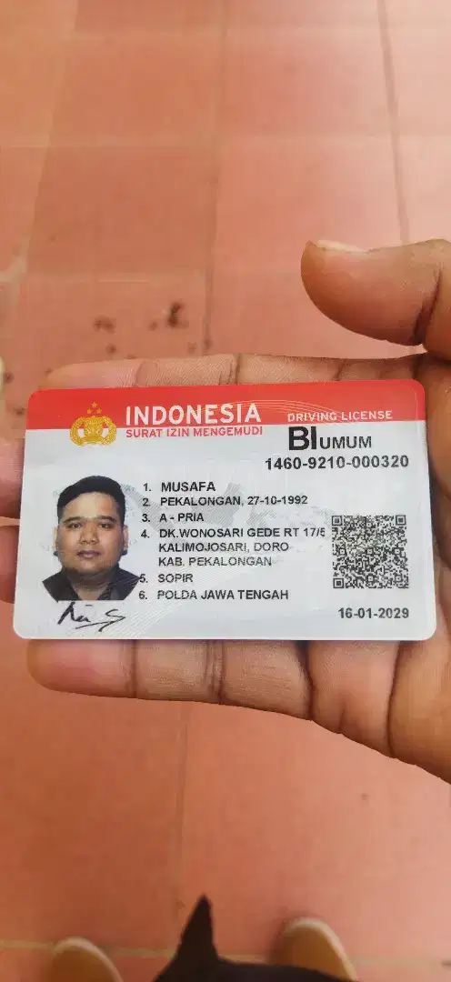 Sedang mencari pekerjaan sopir pribadi atau kantor