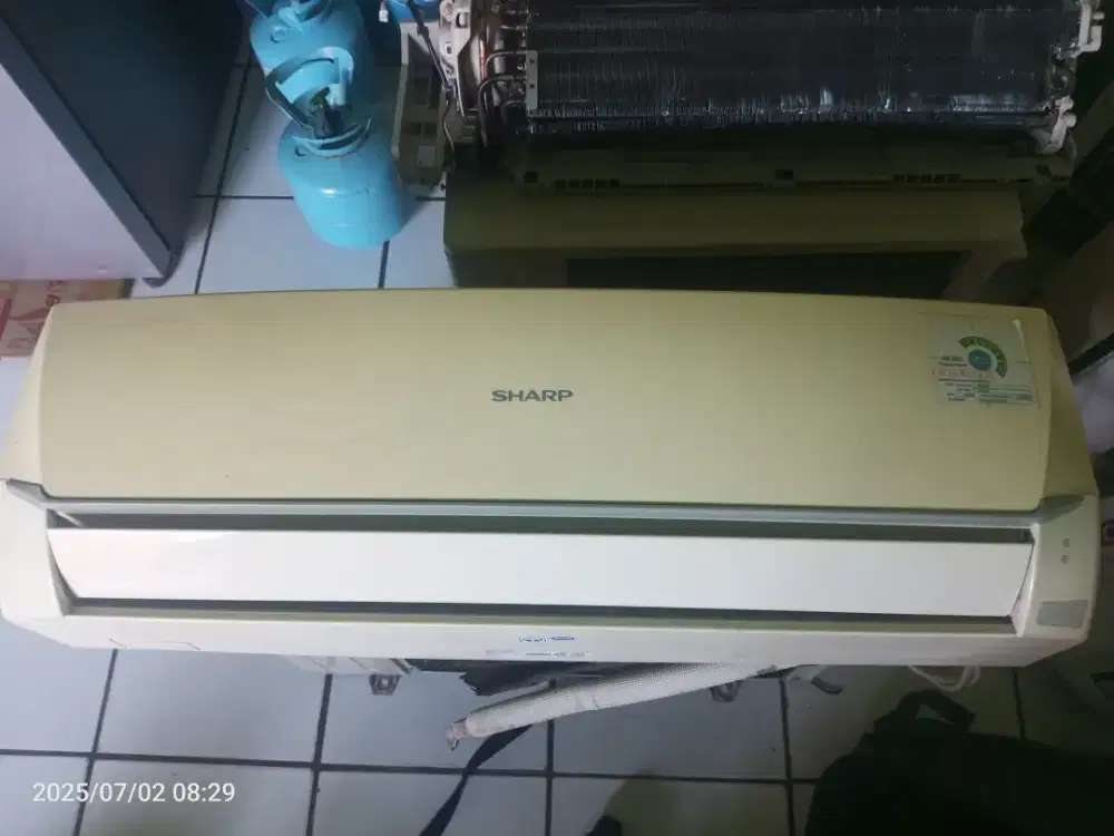 Indoor Sharp 1/2 pk r32