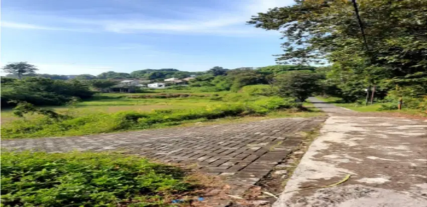 Dijual Tanah Luas Di Jl. Karanggawang Lama Bawah Kedungmundu Semarang