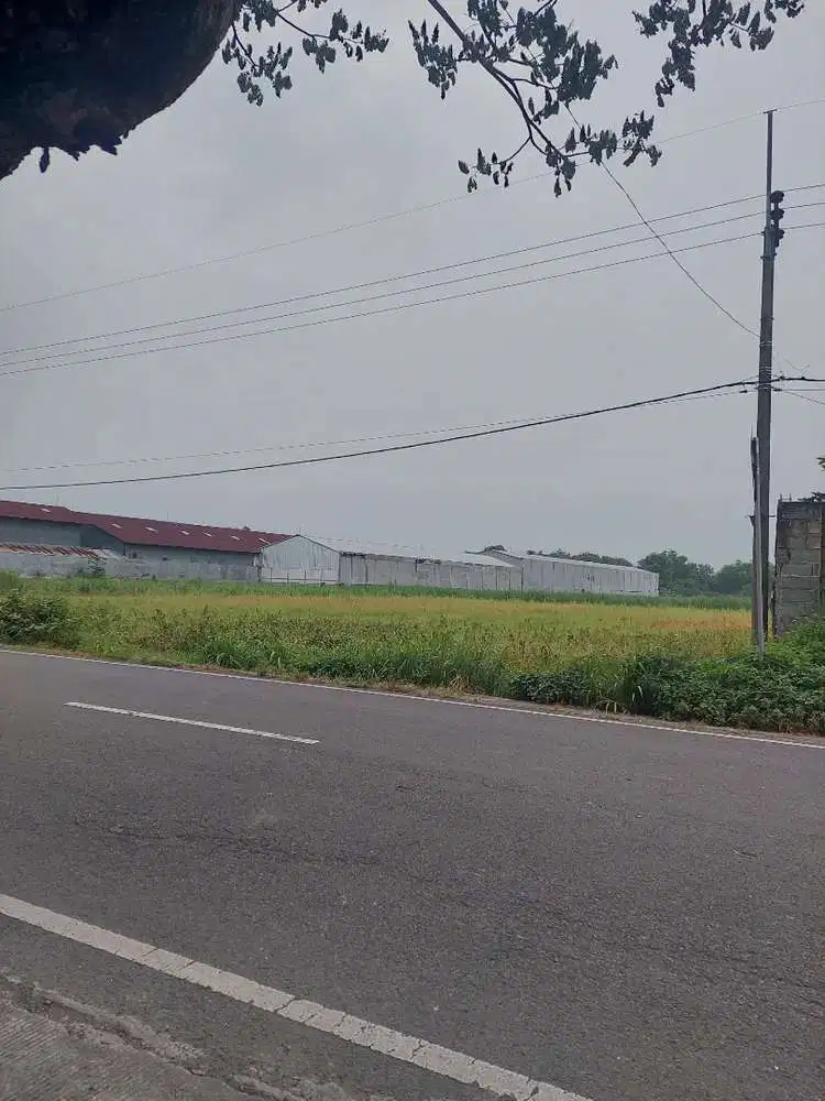 Lahan plot industri nol jl raya jalur propinsi