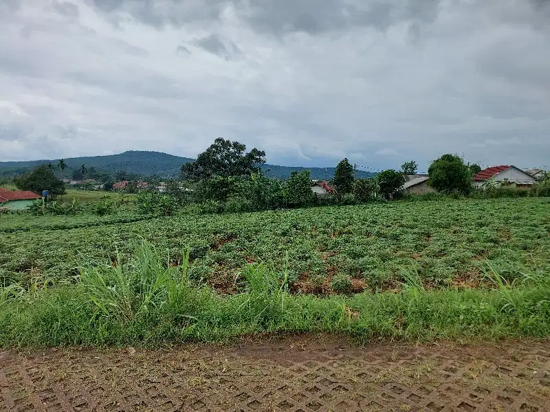 Tanah murah parung view gunung cocok berkebun dan villa