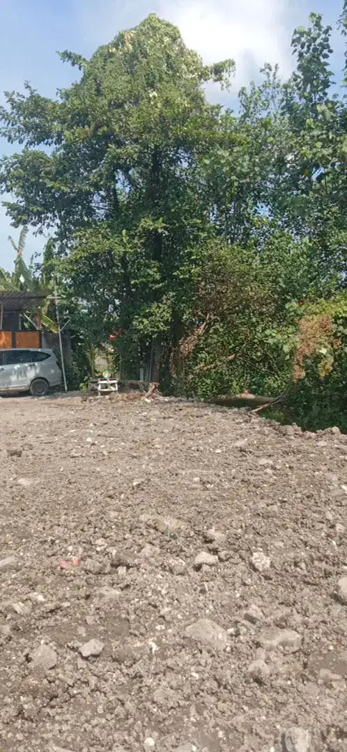 Jual Tanah 1,9are Utk Kosan di Padang Bali Dalung