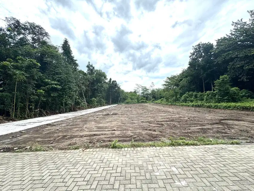 Tanah Jogja Dekat Kampus, Prospek Investasi Kos