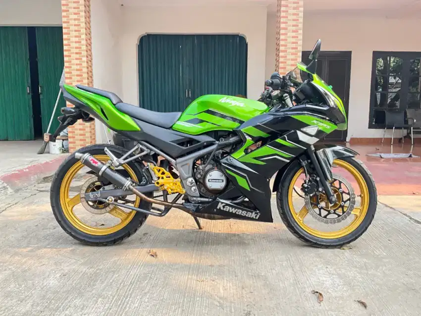 Ninja RR new 2015.pajak panjang.plat B
