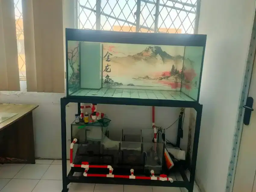 Dijual cepat rugi aquarium fullset lengkap