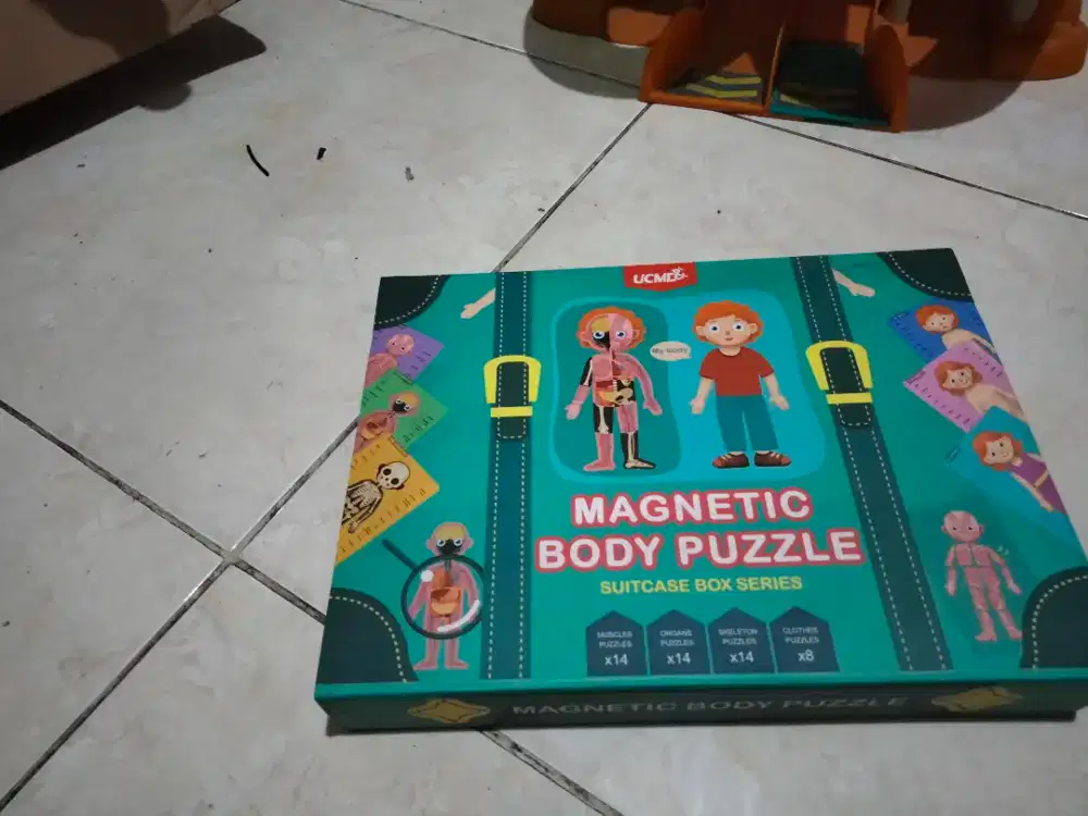 Magnetic body puzzle