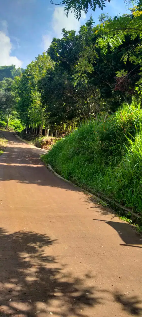 dijual tanah murah di Jatihandap