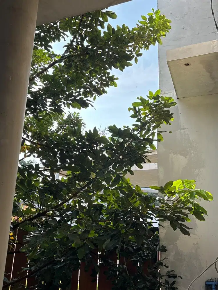 Di cari art pulang hari,,kerjaan ringan