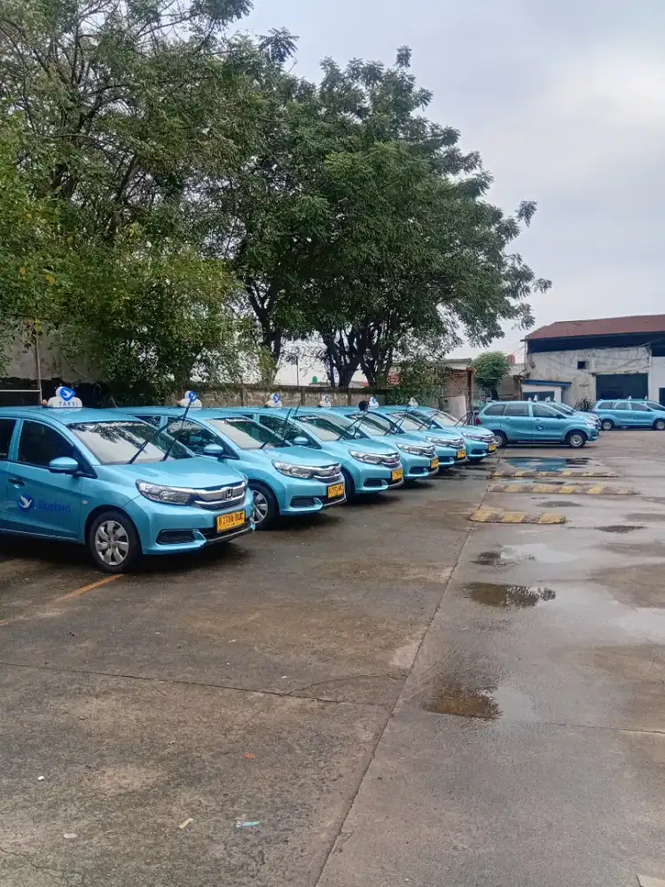 Di Butuhkan Driver Taksi Bluebird