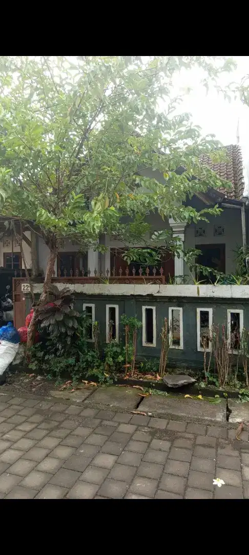 Dijual rumah murah di kesiman kertalangu denpasar