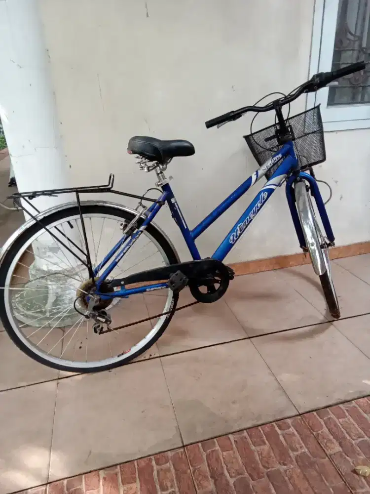 Sepeda Wimcycle Starlite