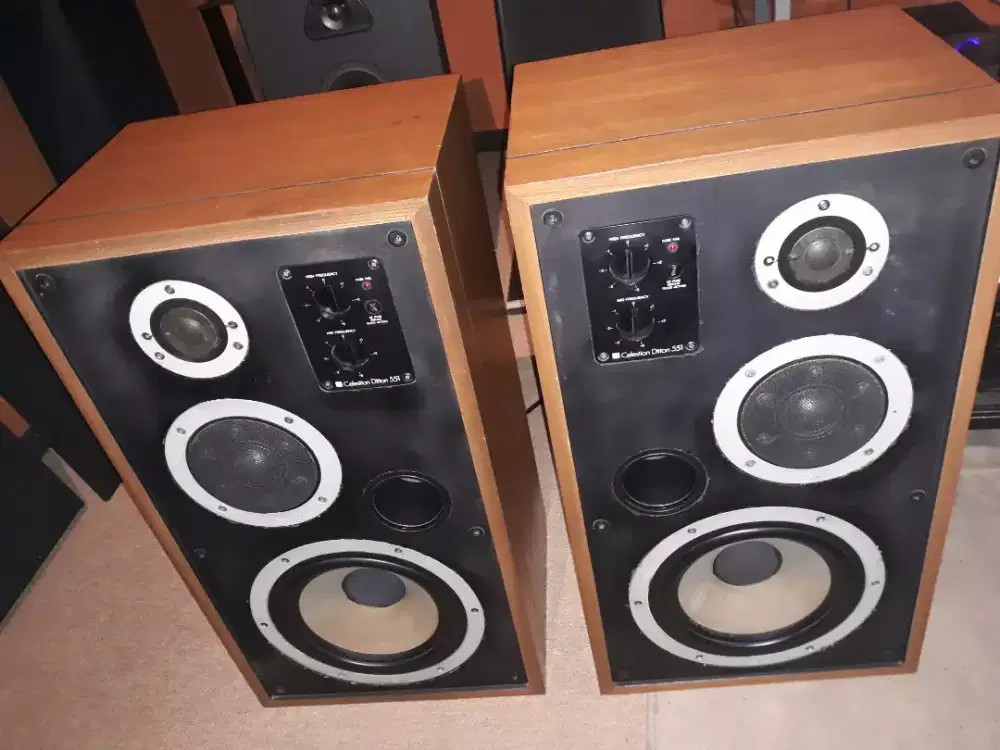 Speaker Celestion Ditton 551