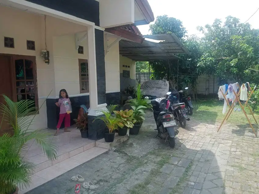 Dijual Rumah Kampung sepatan
