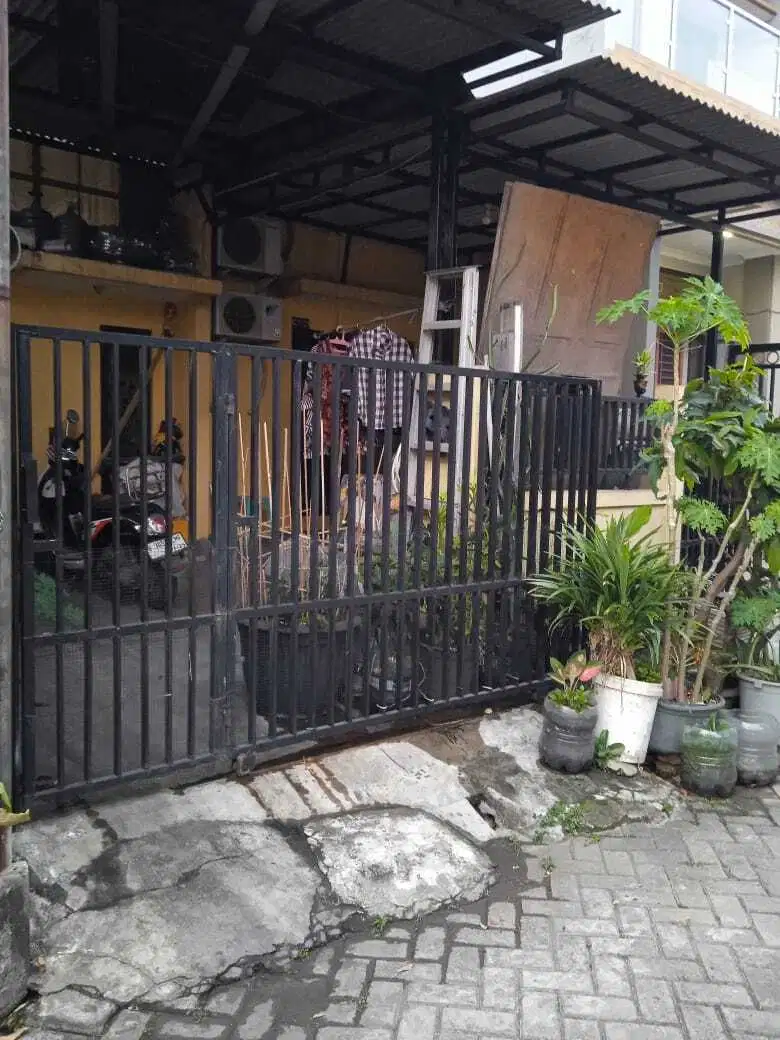 P Fl Dijual Cepat Termurah Rumah 6x15 Cluster Arcadia Daan Mogot