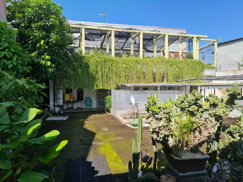 Dijual Rumah Luas Lokasi Jl. Mlaten Trenggulun Semarang