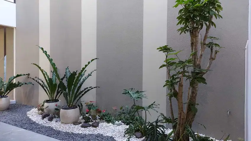 Disewa Rumah Luas di Wangsakerta 2 Kota Baru Parahyangan Dekat Taman