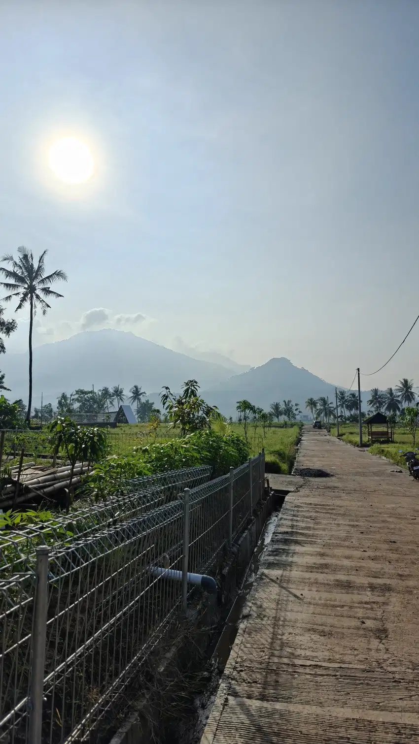 Jual Tanah Murah Dekat Dengan Pasar Jonggol