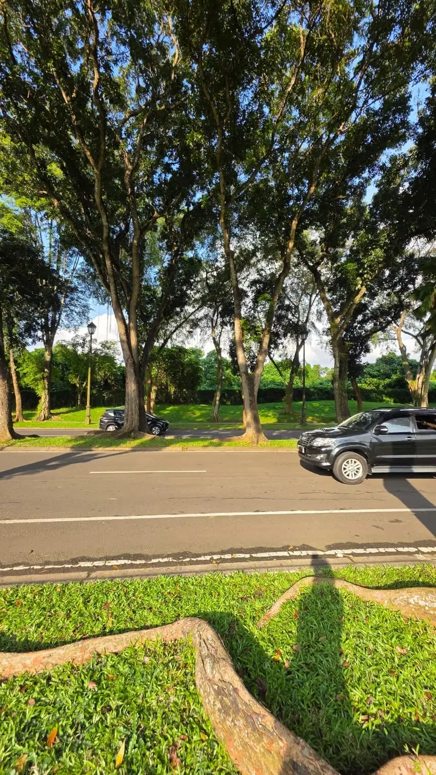 Kavling Posisi Bagus - Jalan Boulevard Palem Raya, Lippo Karawaci
