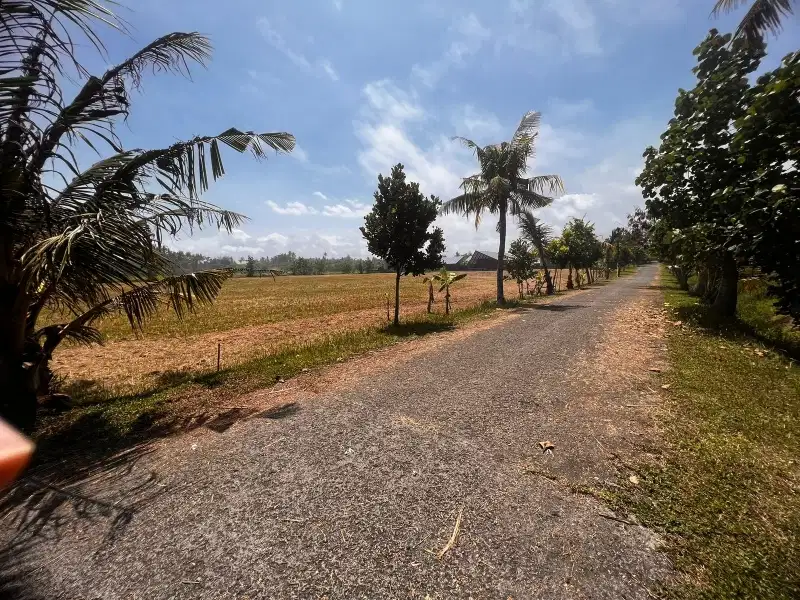 Tanah Kavling HGB Dekat Pantai Belong Beach