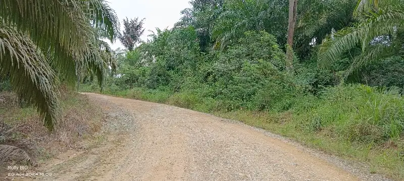 Bismillah Tanah Area Industri besar Pulau Balang km 13 Balikpapan SHGB