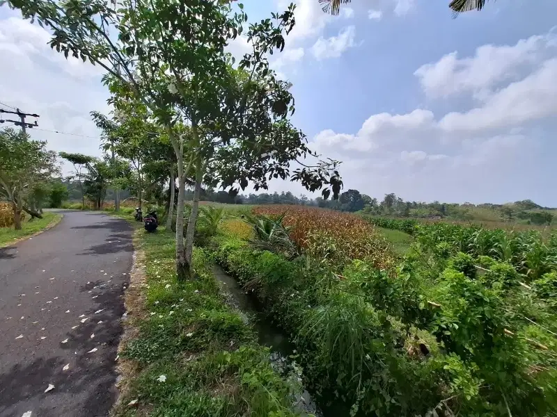 Tanah murah pantai Kelecung tabanan