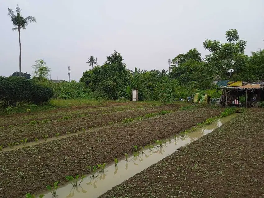 Di Jual lahan Cimone  Super Murah di bawah NJOP Jalan Gatot Subroto
