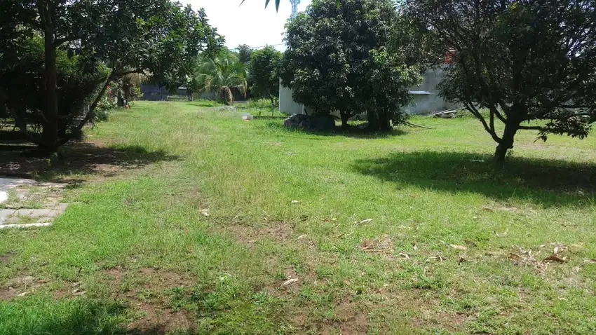 Di Jual Lahan Bonus 4 Unit Rumah & Musholla, Di Tajur Parung Bogor