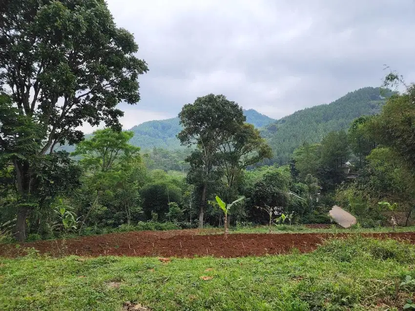 Tanah Arjasari cocok cluster Soreang  strategis jual cepat