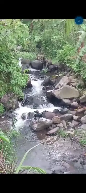 di jual lahan kebun subur ada aliran sungai di Cidahu sukabumi