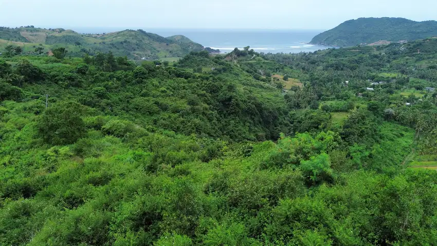 Tanah murah di central Kuta Mandalika Lombok full view