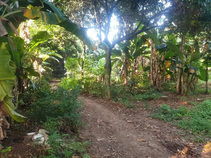 Dijual cepat kavling di Joglo, Kembangan (dalam komplek)