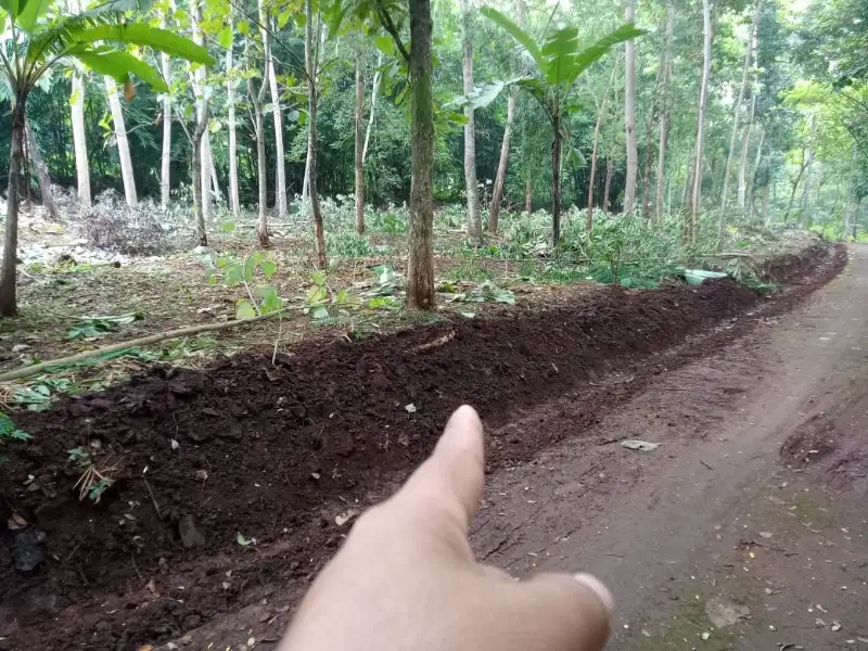 tanah pekarangan 900m² lebar 45m, jumapolo karanganyar