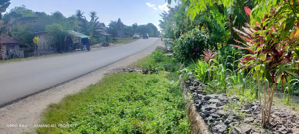 Dijual Murah Tanah Strategis Jalur Utama Kota Tambolaka