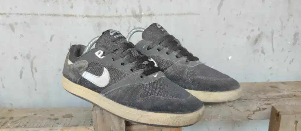 Nike SB alleyoop