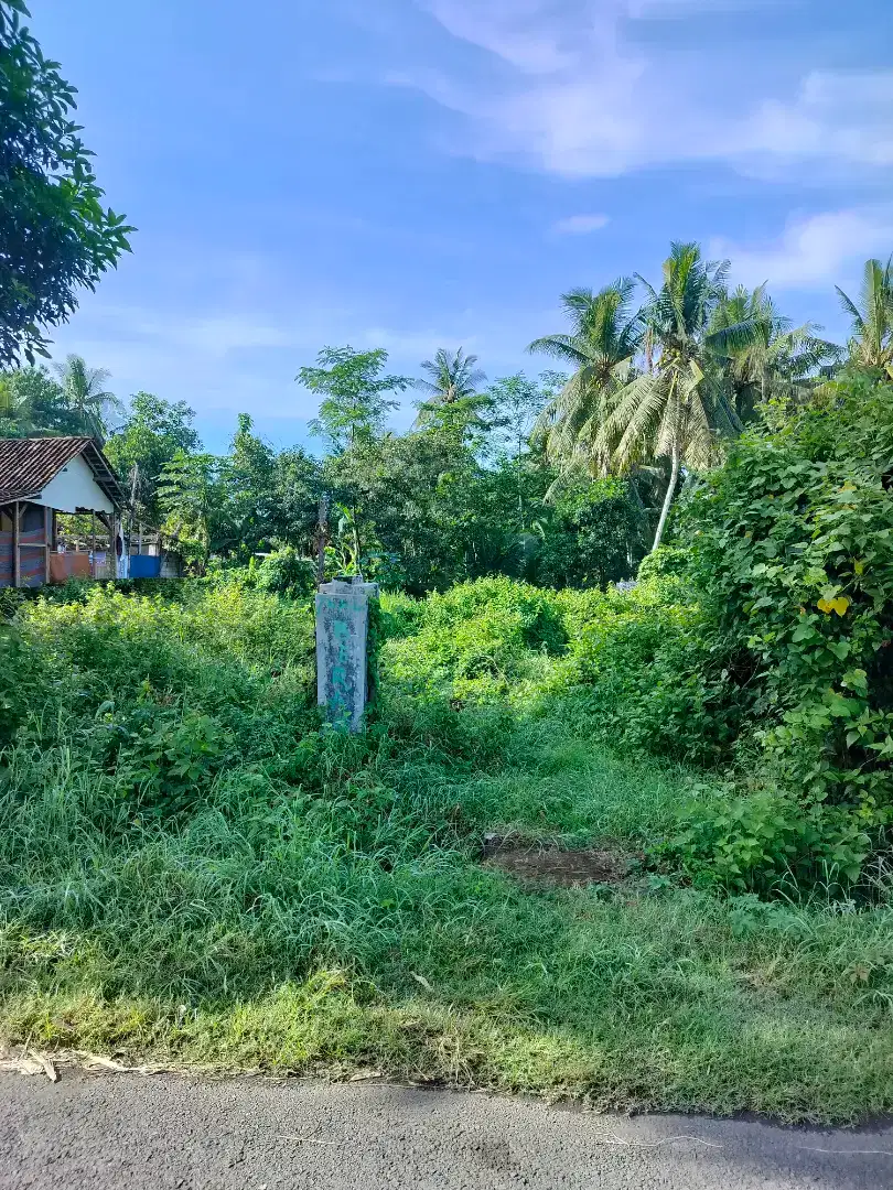 Tanah Pinggir Jalan, Aspal, Dekat Perum dan Homestay