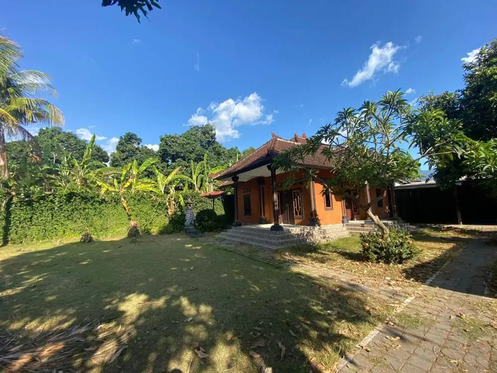 Rumah Minimalis Dengan Halaman yang Luas