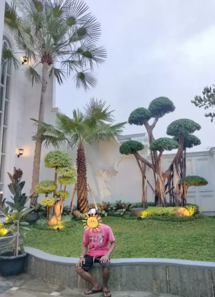 Pohon taman kolam perawatan air mancur bonsai bougenvil / kertas DLL