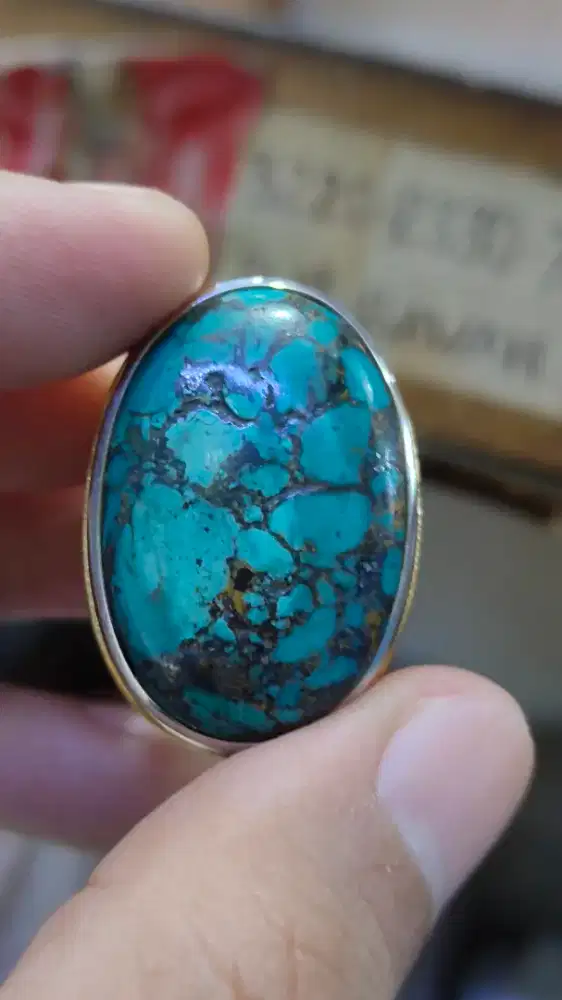 Pirus persia big size